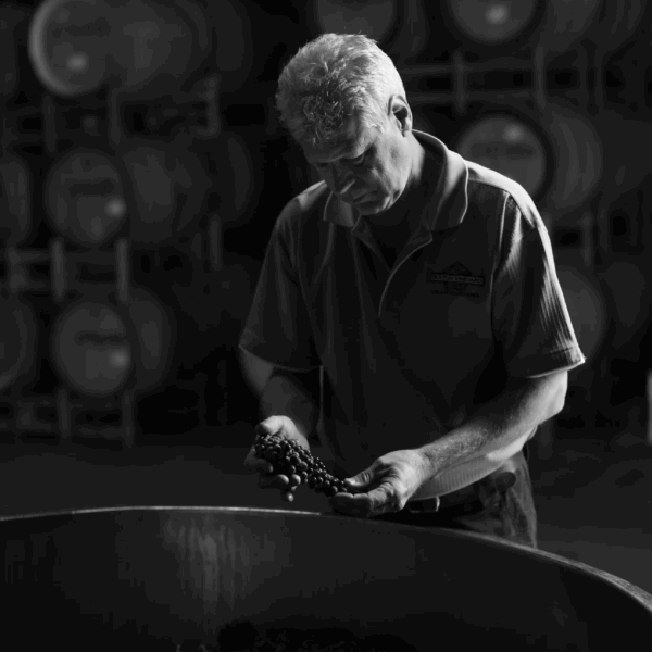 Berton Vineyards Metal Label The White Viognier - Afbeelding 3