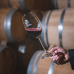 Conde de San Cristobal Magnum - Afbeelding 2