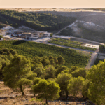 Conde de San Cristobal - Afbeelding 2