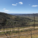 Corte Figaretto 'Musa del Figaretto' Amarone - Afbeelding 2