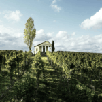 Dengler-Seyler Riesling Maikammer Heiligenberg - Afbeelding 2