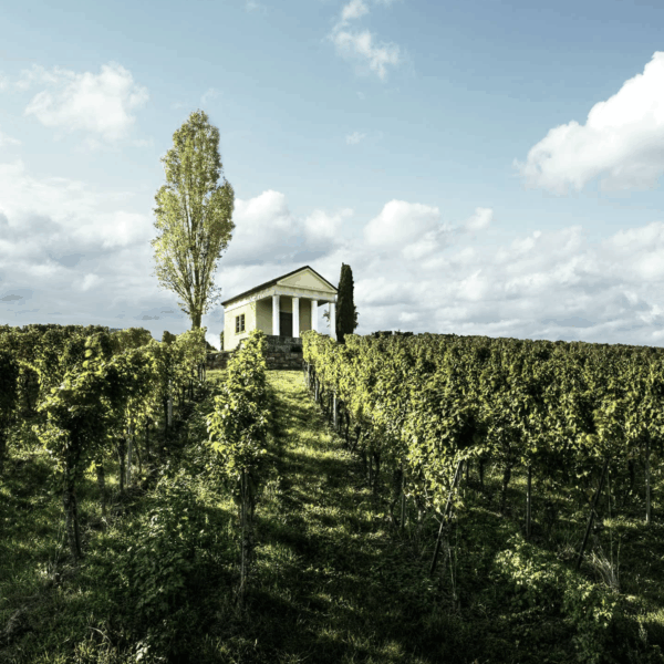Dengler-Seyler Riesling Maikammer Heiligenberg - Afbeelding 2