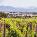 Cristia Côtes du Rhône Blanc - Afbeelding 2