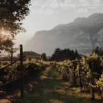 Endrizzi Teroldego Rotaliano - Afbeelding 2