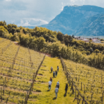 Endrizzi Leoncorno Teroldego Rotaliano - Afbeelding 3