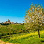 Rivetto Barolo del Comune di Serralunga Magnum - Afbeelding 2