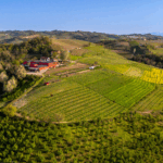 Rivetto Barolo Briccolina 2018 - Afbeelding 2