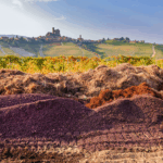 Rivetto Nebbiolo Langhe - Afbeelding 4