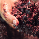 Rivetto Barbera d'Alba Zio Nando - Afbeelding 3