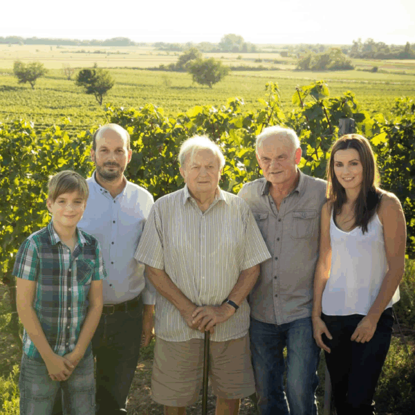 Stiegelmar Beerenauslese - Afbeelding 2
