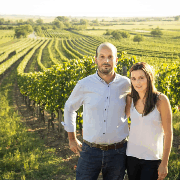 Stiegelmar Auslese - Afbeelding 2