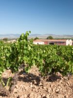 Marques de Vargas Reserva - Afbeelding 2