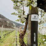 Endrizzi Dalis Rosso - Afbeelding 3