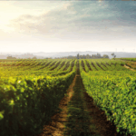 La Tannerie - Afbeelding 3