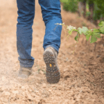 Petit Paradis Saint Chinian - Afbeelding 3