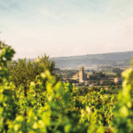 Petit Paradis Saint Chinian - Afbeelding 2