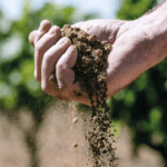 La Tannerie - Afbeelding 2