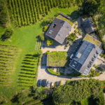 Domein Holset Raarberg Chardonnay Extra Brut - Afbeelding 3
