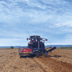 Tempore Independent Tempranillo - Afbeelding 4