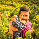 Tempore Generación '76 Tempranillo - Afbeelding 4