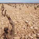 Tempore Symphony Tinto - Afbeelding 3