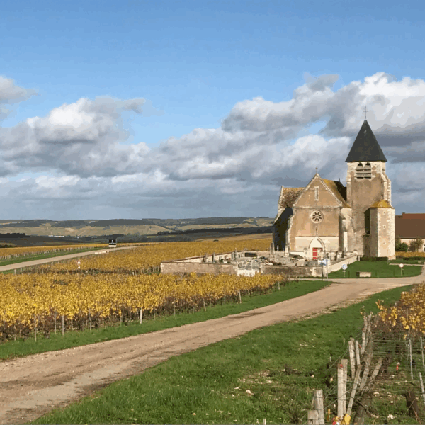 Domaine Vincent Wengier Bourgogne Chardonnay - Afbeelding 2