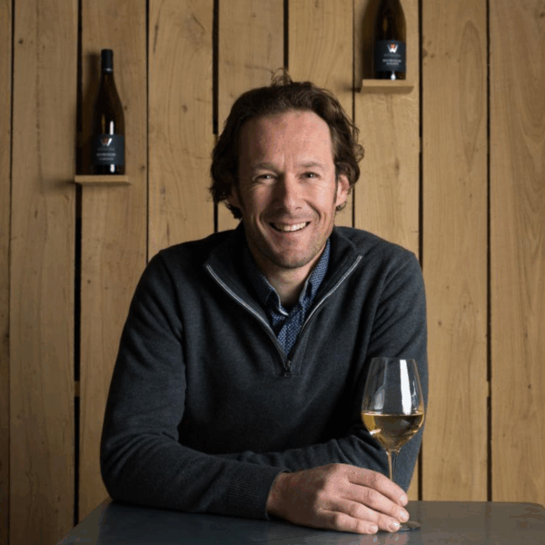 Domaine Vincent Wengier Bourgogne Aligoté - Afbeelding 2