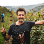 Rivetto Barolo Briccolina 2018 - Afbeelding 3