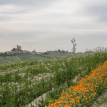 Rivetto Barolo Briccolina 1,5 ltr 2018 - Afbeelding 2