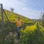 Rivetto Barolo del Comune di Serralunga 3 liter 2019 - Afbeelding 2