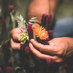 Rivetto Barbaresco DOCG 2020 - Afbeelding 4