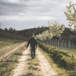 Rivetto Barbera Zio Nando 3 ltr - Afbeelding 2