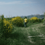 Rivetto Barbera Zio Nando Magnum 2020 - Afbeelding 4