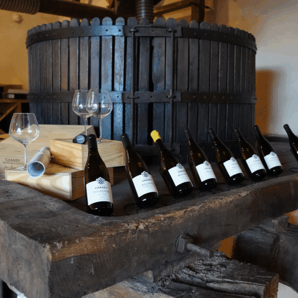 Chanzy Mercurey 1er Cru 'Clos du Roy' Rouge 2021 - Afbeelding 2