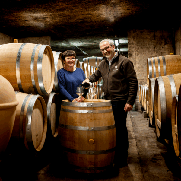 Chanzy Hautes Côtes de Beaune Blanc - Afbeelding 2