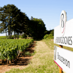 Chanzy 'Les Trois' Bouzeron - Afbeelding 2