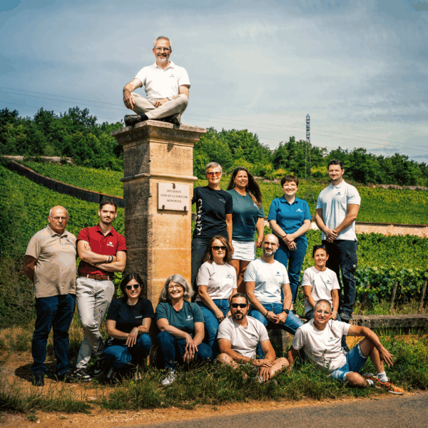Chanzy Pinot Noir 'Les Fortunes' Bourgogne - Afbeelding 2