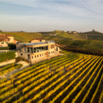 Mauro Molino Langhe DOC Dolcetto - Afbeelding 3