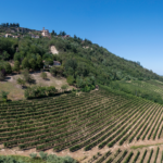 Mauro Molino Langhe DOC Nebbiolo - Afbeelding 3