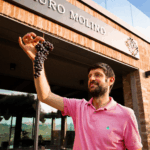 Mauro Molino Barbera d'Alba DOC - Afbeelding 2