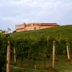 Mauro Molino Roero Arneis DOCG - Afbeelding 2