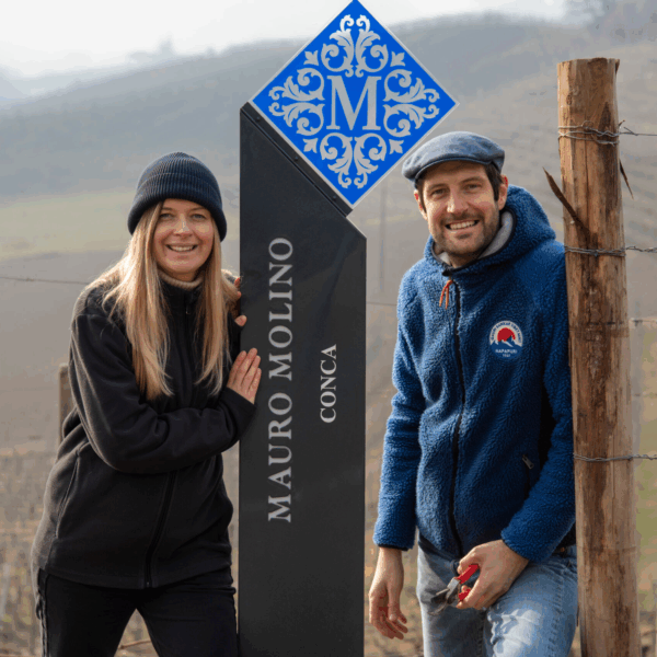 Mauro Molino Langhe Nebbiolo DOC - Afbeelding 2