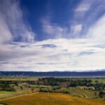 Insight Sauvignon Blanc - Afbeelding 3