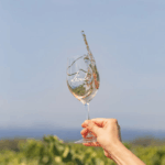 Château Léoube Rosé - Afbeelding 4