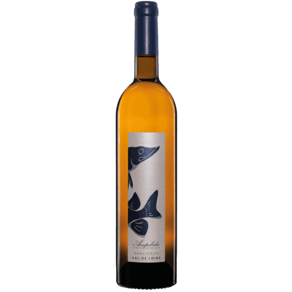 Ampelidae Sauvignon Blanc - Afbeelding 1