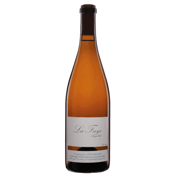 Ampelidae Sauvignon Gris 'La Fuye' - Afbeelding 1
