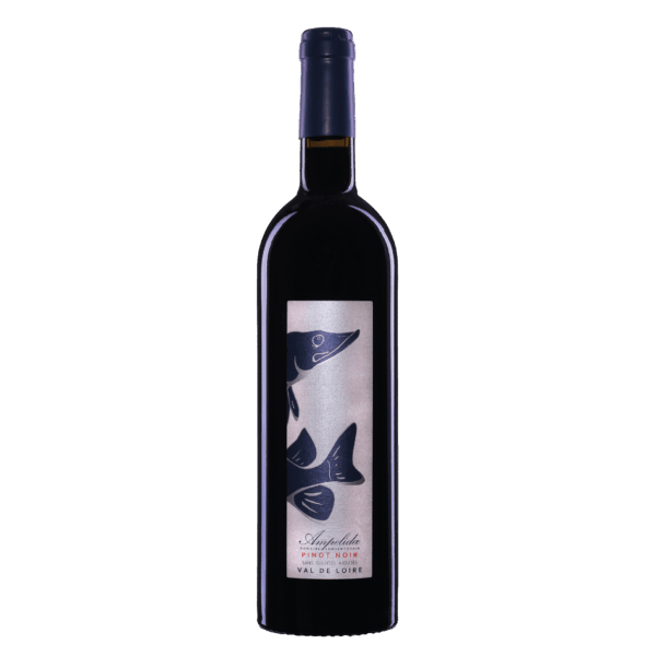 Ampelidae Pinot Noir - Afbeelding 1
