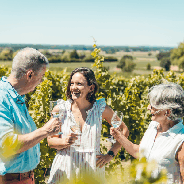 Ampelidae Sauvignon Gris 'La Fuye' - Afbeelding 2