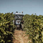 Quinta de Cidrô Alvarinho - Afbeelding 2