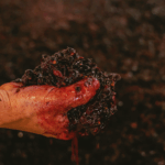 Quinta de Cidrô Touriga Nacional - Afbeelding 2